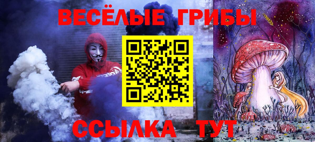 Галлюциногенные грибы Psilocybine cubensis  Вход с VPN  Юрга 