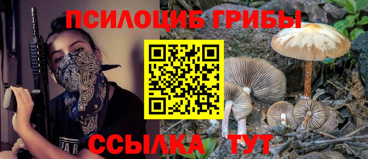Галлюциногенные грибы Psilocybine cubensis Юрга